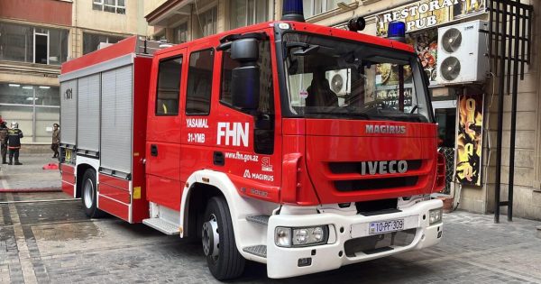 image-fhn