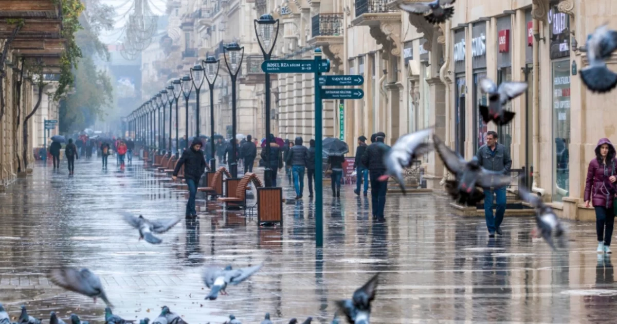 image-hava