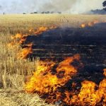image-stubble-burnoff-near-wangaratta-victoria-australia