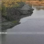 image-focmq8vgtby0kla44sh8rnjhydk9vuwnkffxqnsg_1200