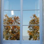image-img_2810