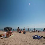 image-img_5451_y