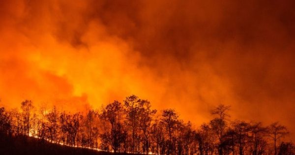 image-in_case_of_fire__strat_training-768x512