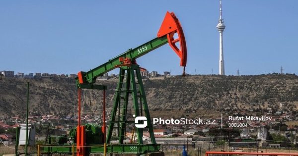 image-img_3306