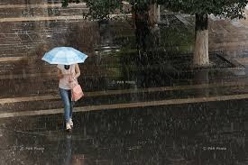 image-images